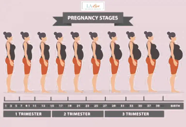 First Trimester (Weeks 1–12): Early Changes You Might Not Notice Epping Green